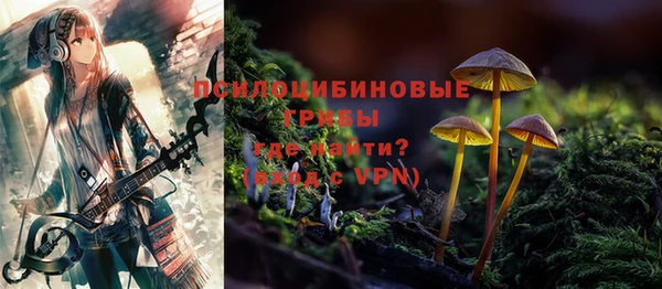 ECSTASY Аркадак