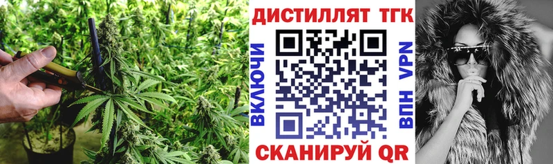 Купить закладки  Бирюч  Дистиллят ТГК Wax 